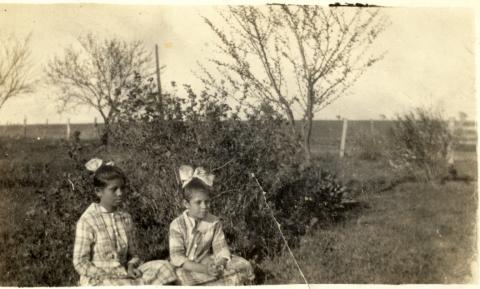 ms8034a.jpg ms8034a.jpg