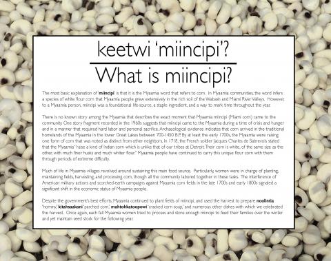 minciipi_1_web.jpg